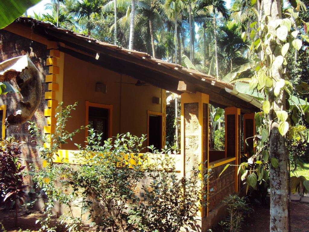 Villa Dudhsagar Plantation Cormonem Esterno foto