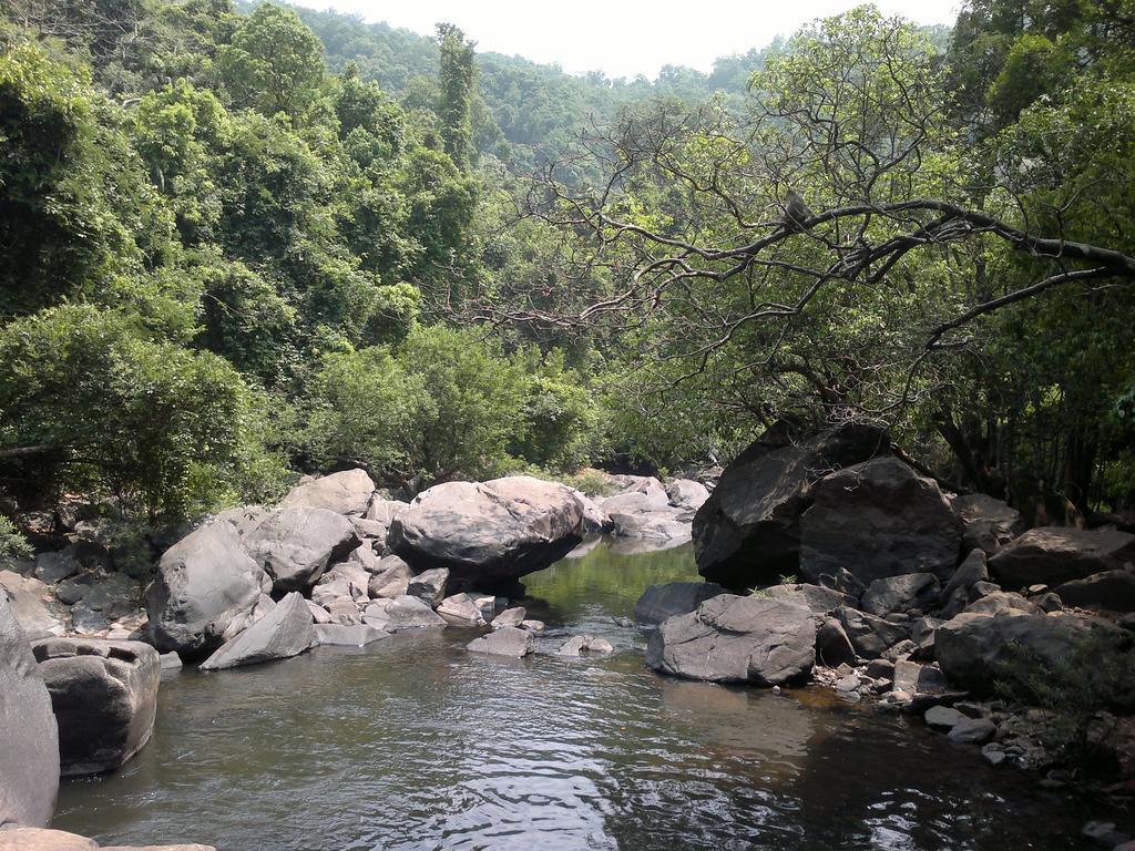 Dudhsagar Plantation Villa Cormonem Esterno foto