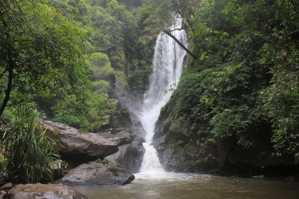 Dudhsagar Plantation Villa Cormonem Esterno foto