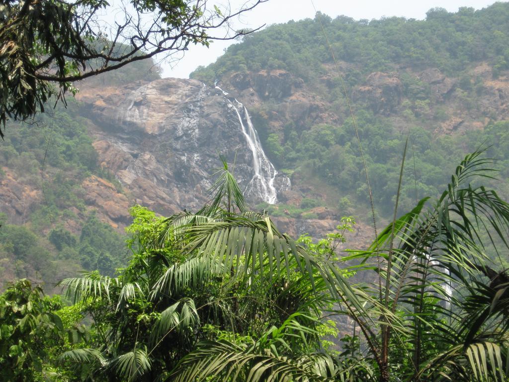 Dudhsagar Plantation Villa Cormonem Esterno foto