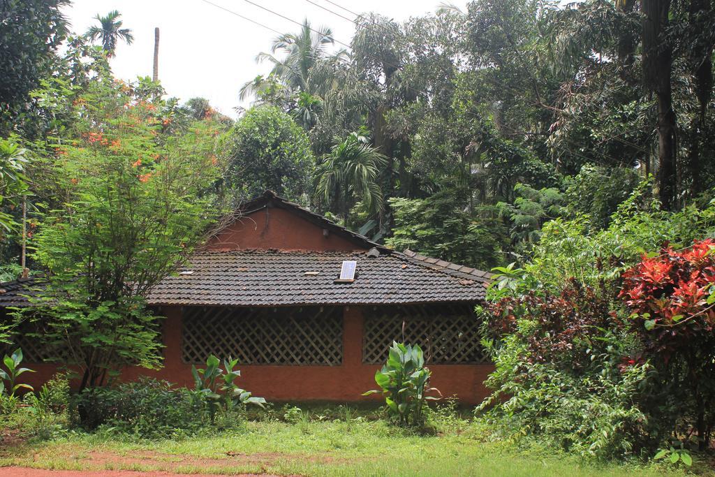 Dudhsagar Plantation Villa Cormonem Esterno foto