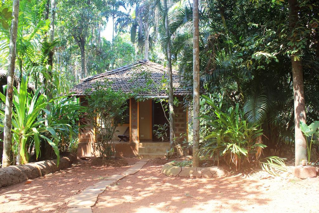 Villa Dudhsagar Plantation Cormonem Esterno foto