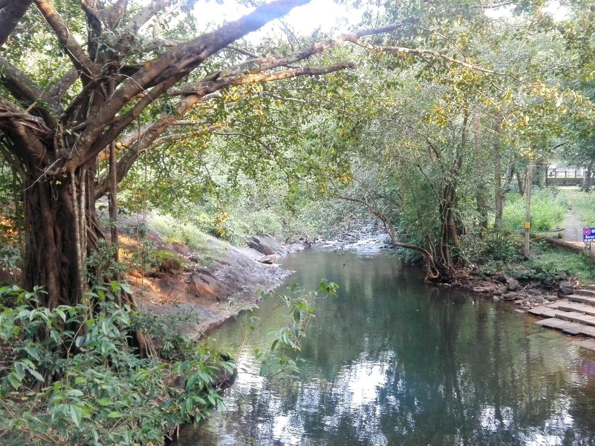 Dudhsagar Plantation Villa Cormonem Esterno foto