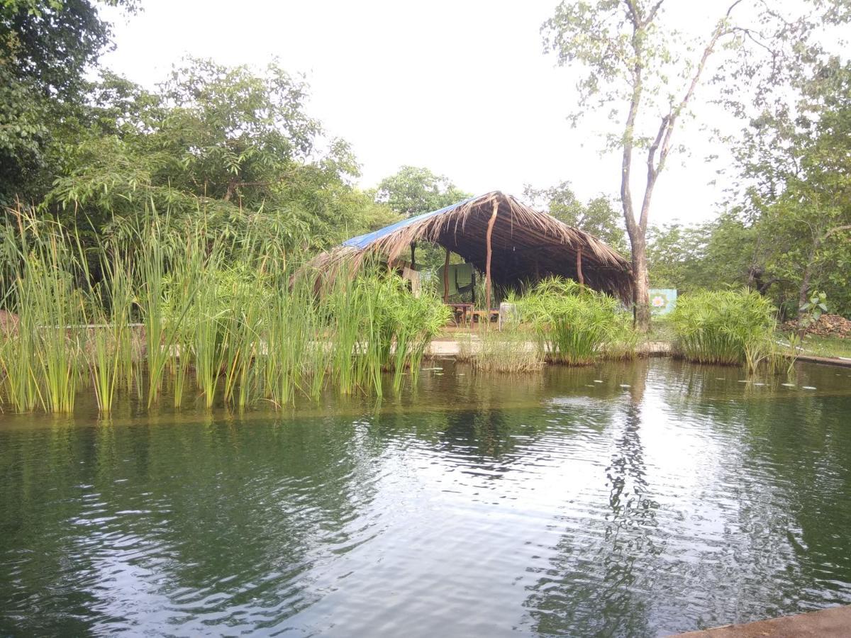 Dudhsagar Plantation Villa Cormonem Esterno foto