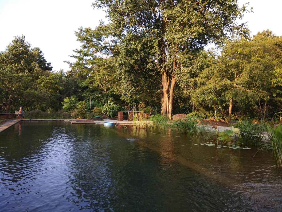 Dudhsagar Plantation Villa Cormonem Esterno foto